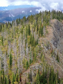 Cos’è il ripristino degli ecosistemi, la sfida a cui è dedicata la Giornata della Terra 2021
