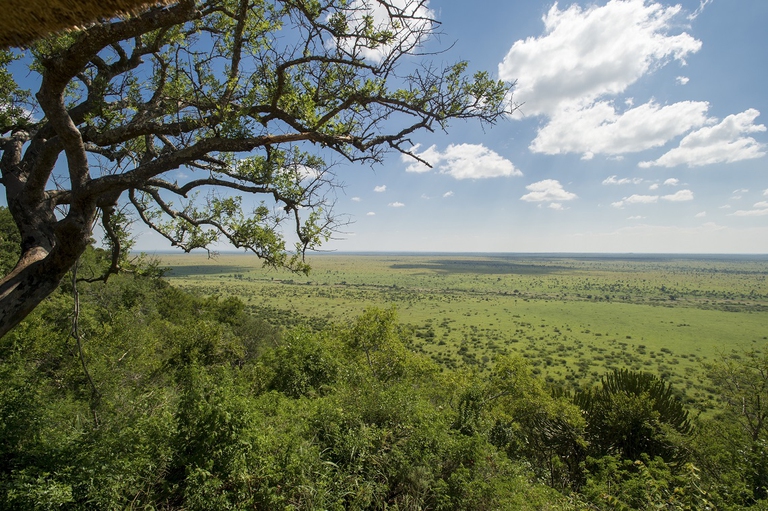 Il parco sudafricano Kruger