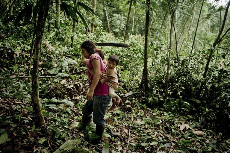 A Kiwcha villager cuts down small trees using a machete as her husband uses a chainsaw to clear an area to sow corn to feed his animals, near the Napo River in Orellana, Ecuador.  March 2013. Photo/Tomas Munita