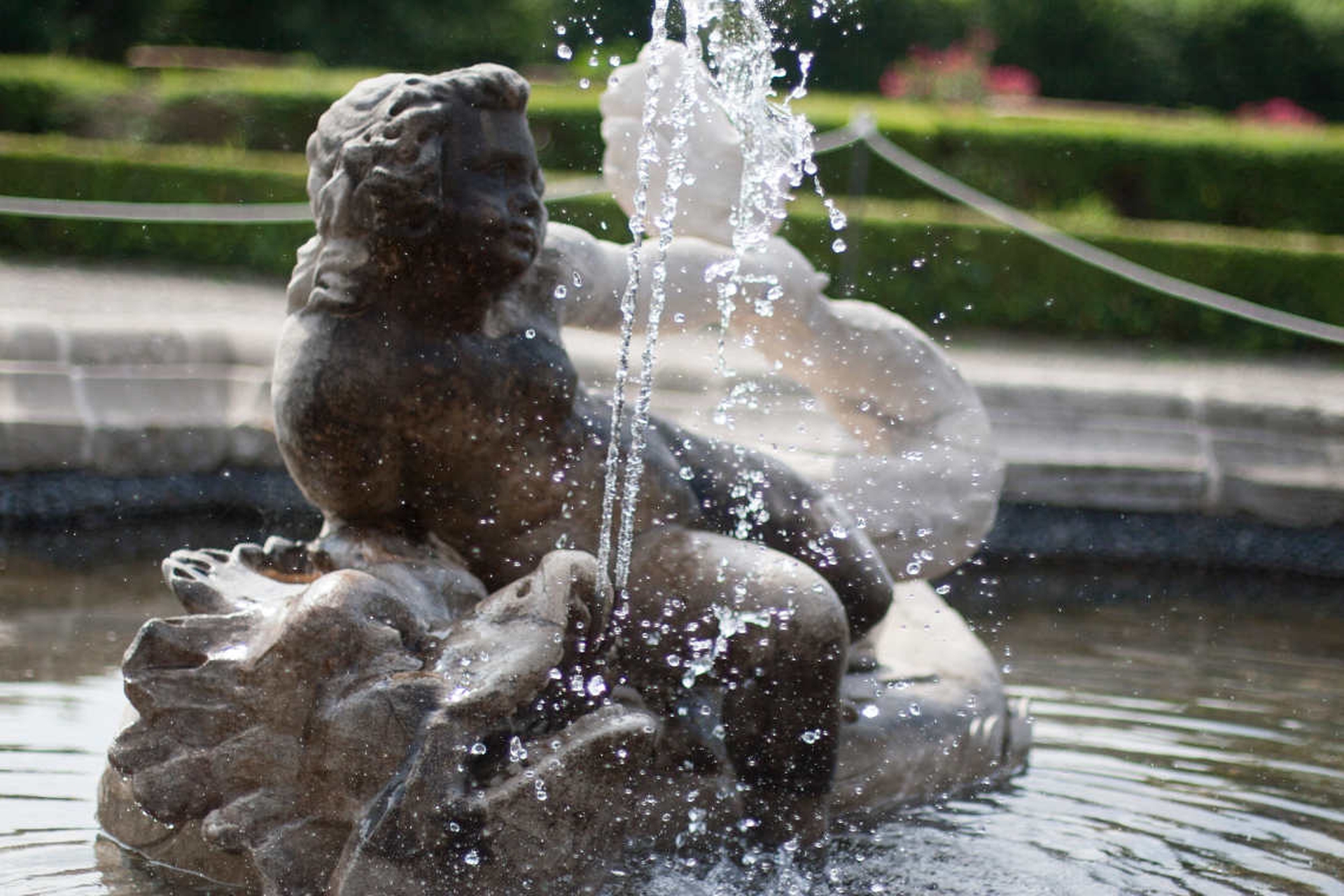 Fontana del Delfino, particolare