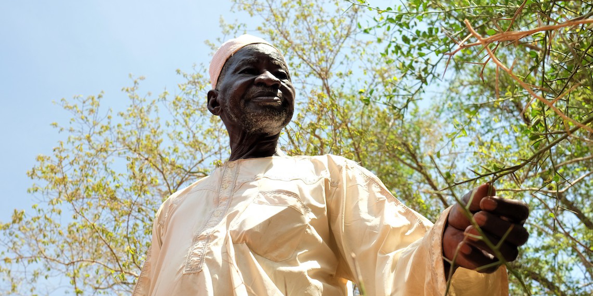 Yacouba Sawadogo The African Farmer Who Stopped The Desert Yacouba Sawadogo The African Farmer Who Stopped The Desert