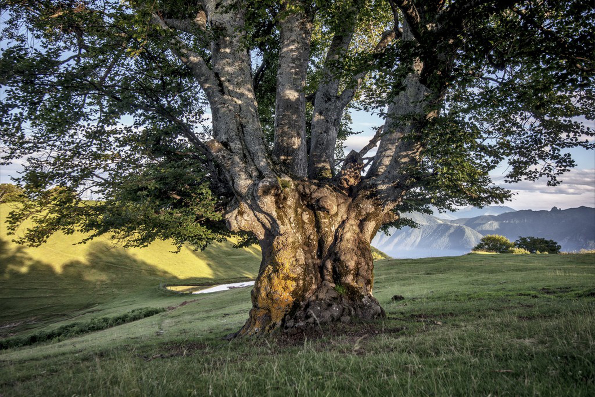 Calendario 2018 Amani, maggio