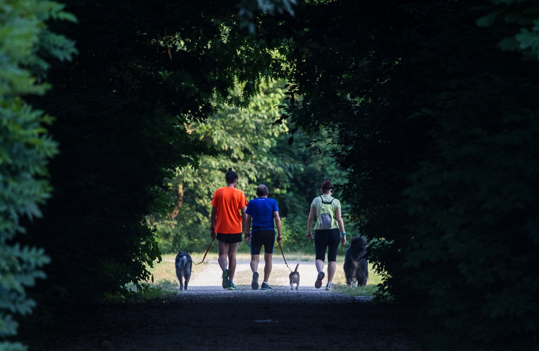 Corsa con il cane, in armonia con la natura © Amanda Ronzoni