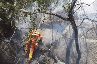 Incendi in Sardegna, già in fiamme seimila ettari di terreno