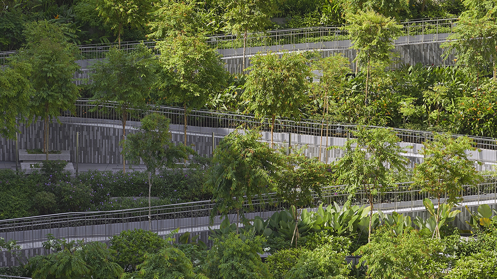 Particolare dei giardini terrazzati Oasis terraces