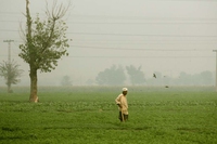 Con il biogas il Pakistan riduce costi e inquinamento