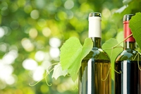 Bere vino fa bene al cuore, se si fa esercizio fisico
