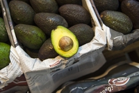 L’avocado e la fame di guacamole causano la deforestazione in Messico