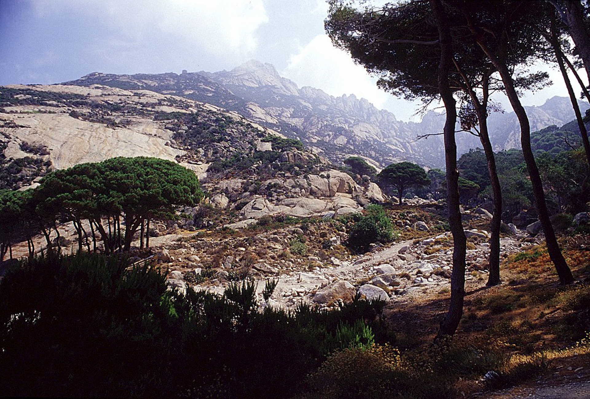 Sull'isola di Montecristo entro tre miglia è possibile transitare, ma non pescare
