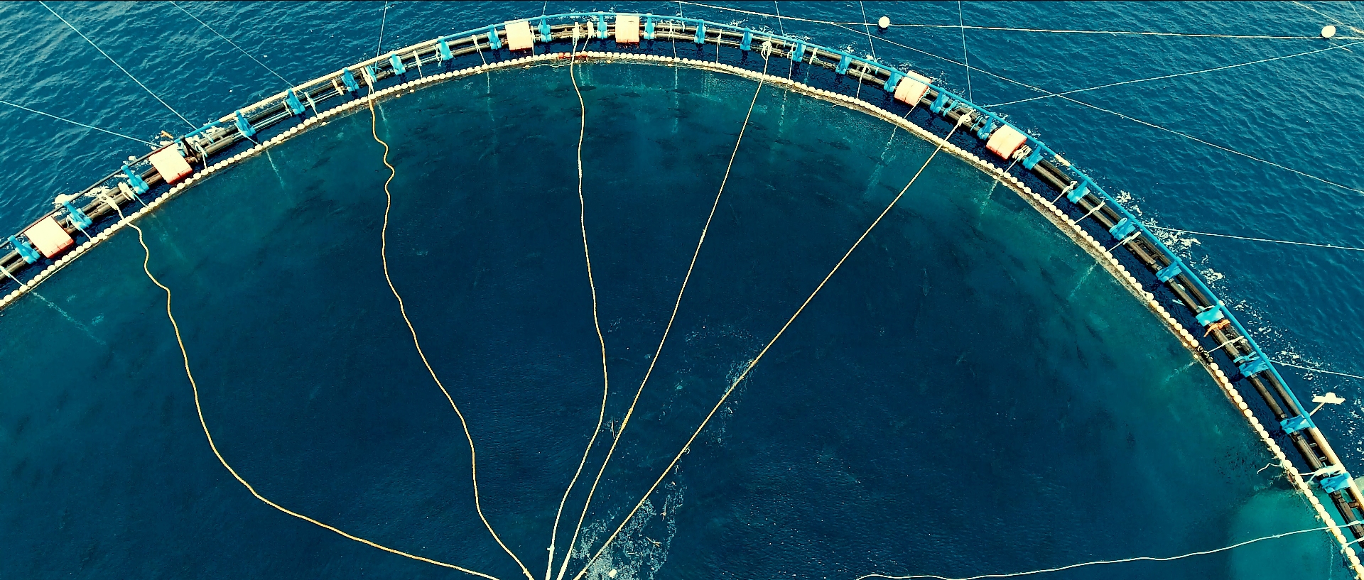 Seaspiracy. c. Courtesy of Netflix © 2021