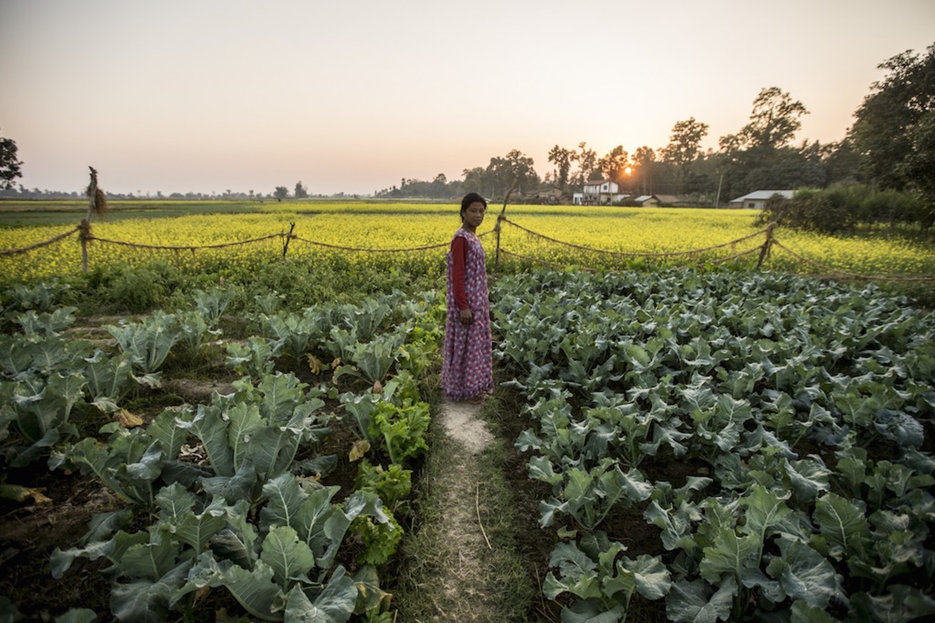 Le Donne A Guardia Della Biodiversità In Nepal Le Foto In Un Reportage Del Wwf Lifegate