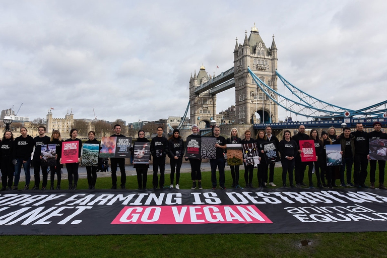 Joaquin Phoenix Animal Equality