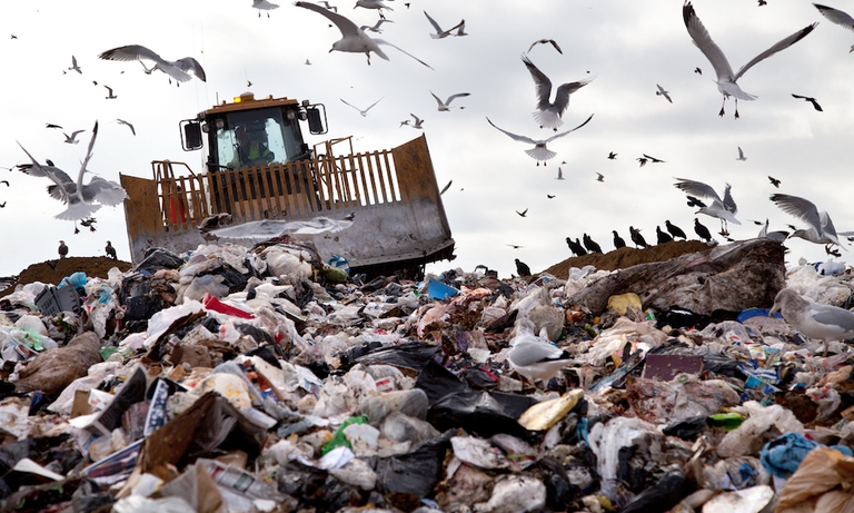 rifiuti_plastica_oceano_crisi_ambientale