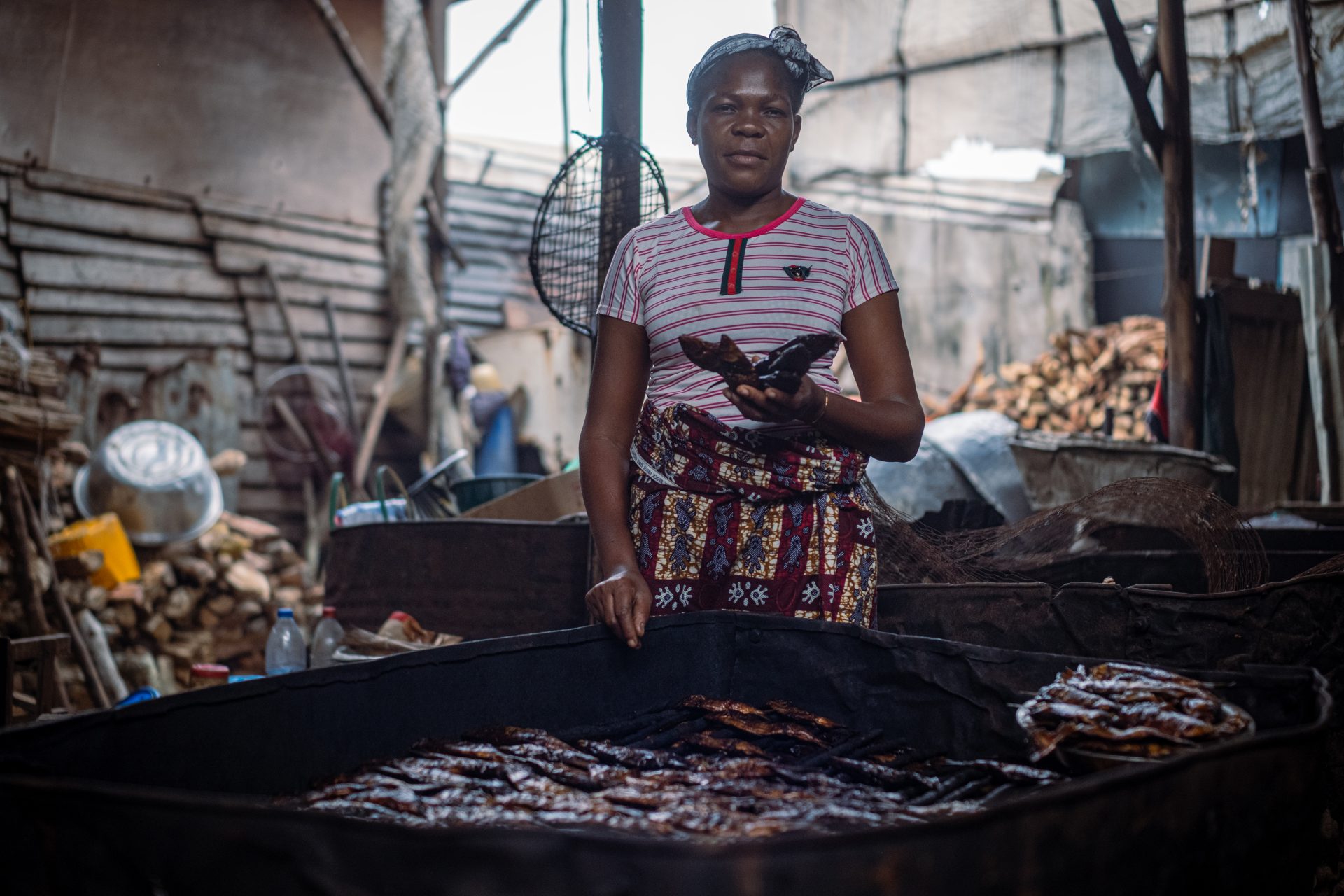 Foto squali Congo-sedici