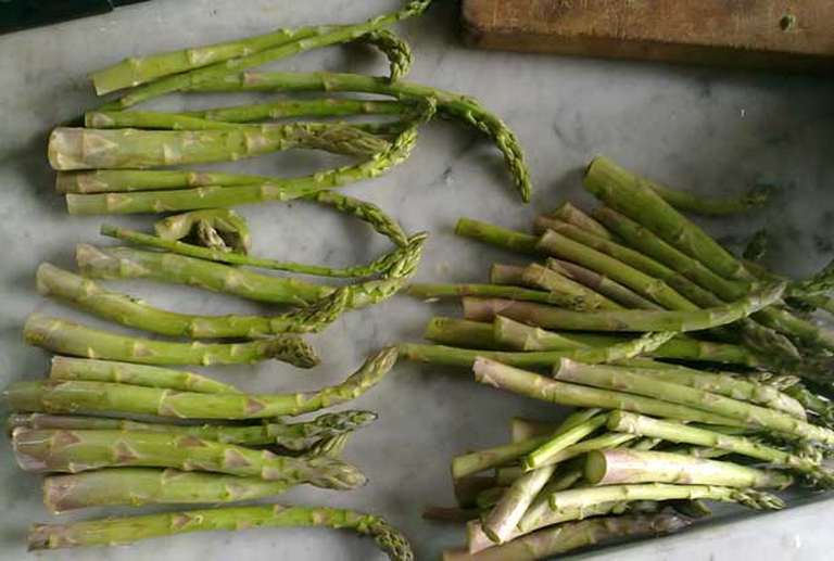 asparagi in camicia