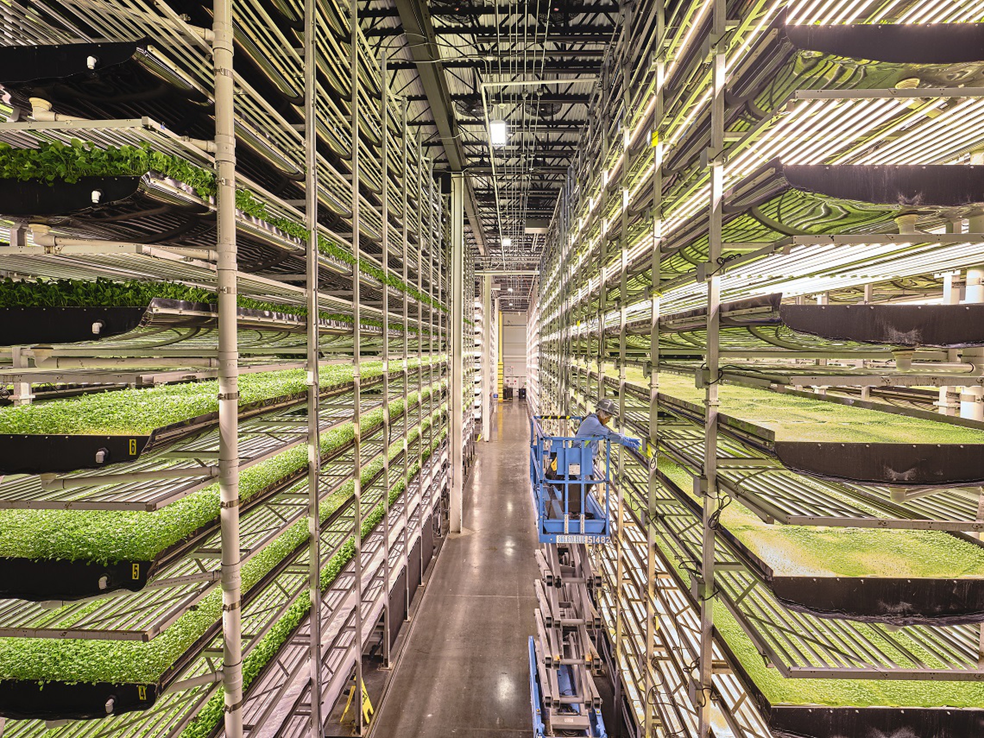 051_Luca Locatelli_for National Geographic