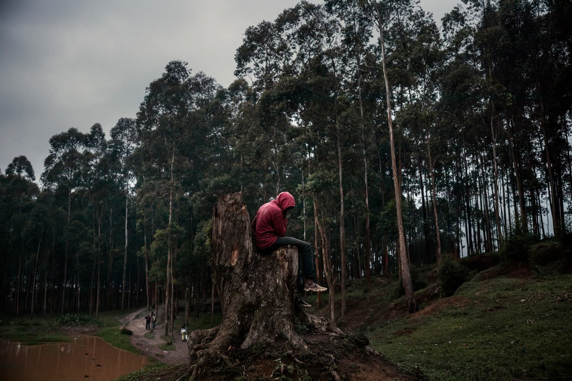 Ebola in Congo, luglio 2019
