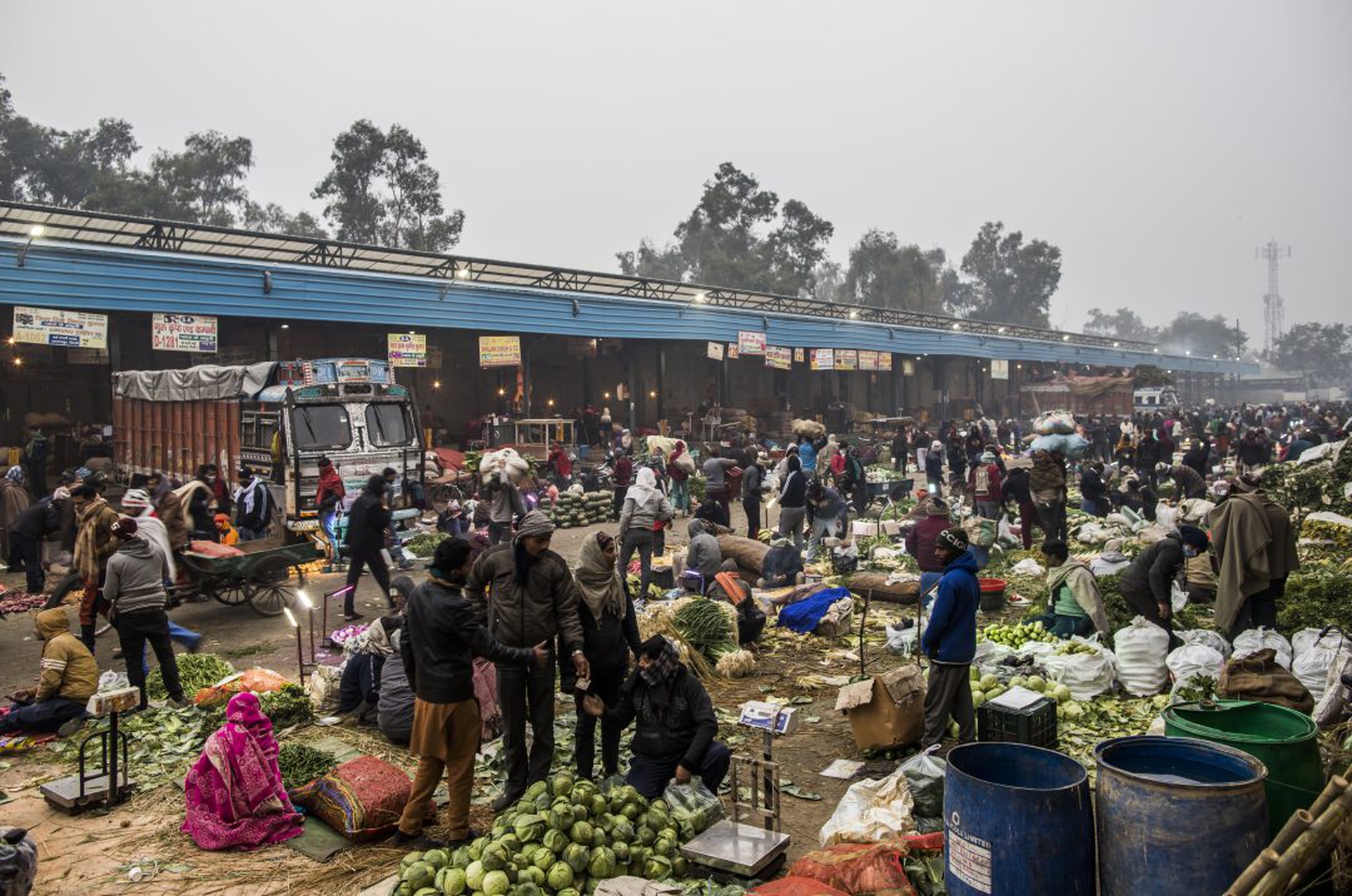 Farming Families Struggle On The Land As Farmers Attend Protests