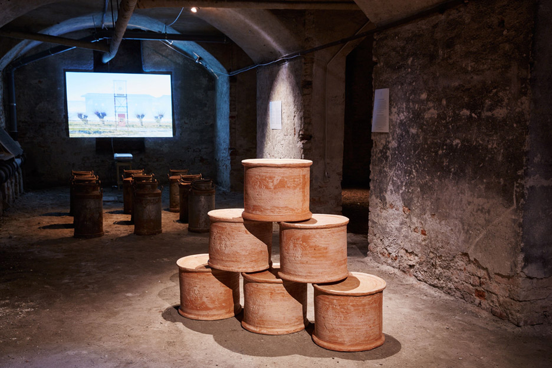 Shit evolution Salone 2016