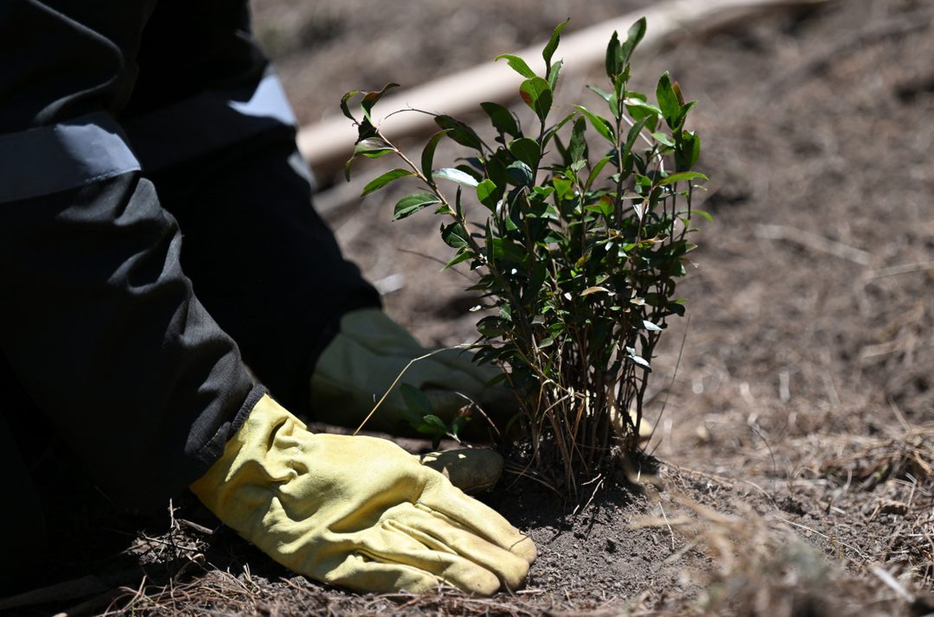 COLOMBIA-CONFLICT-JUSTICE-ENVIRONMENT