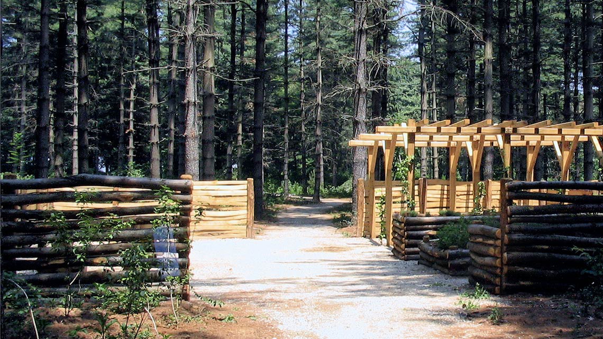 bosco-chignolo-lifegate