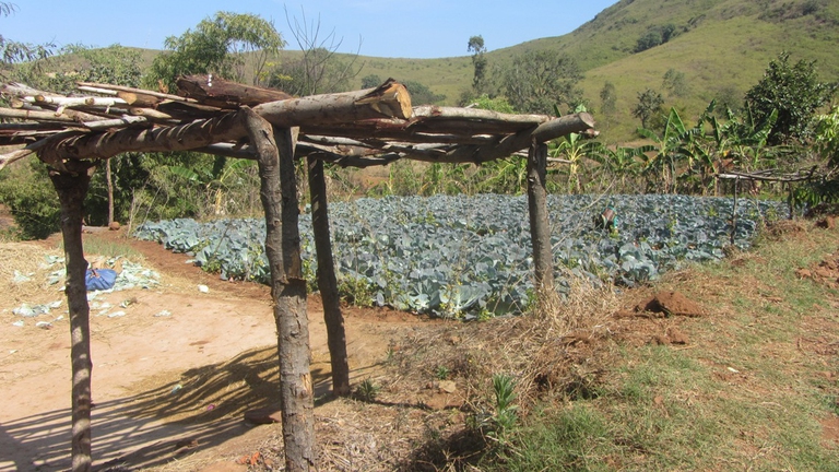 climate resilient agriculture