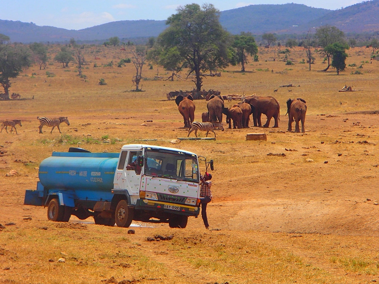 patrick kilonzo mwalua, water man