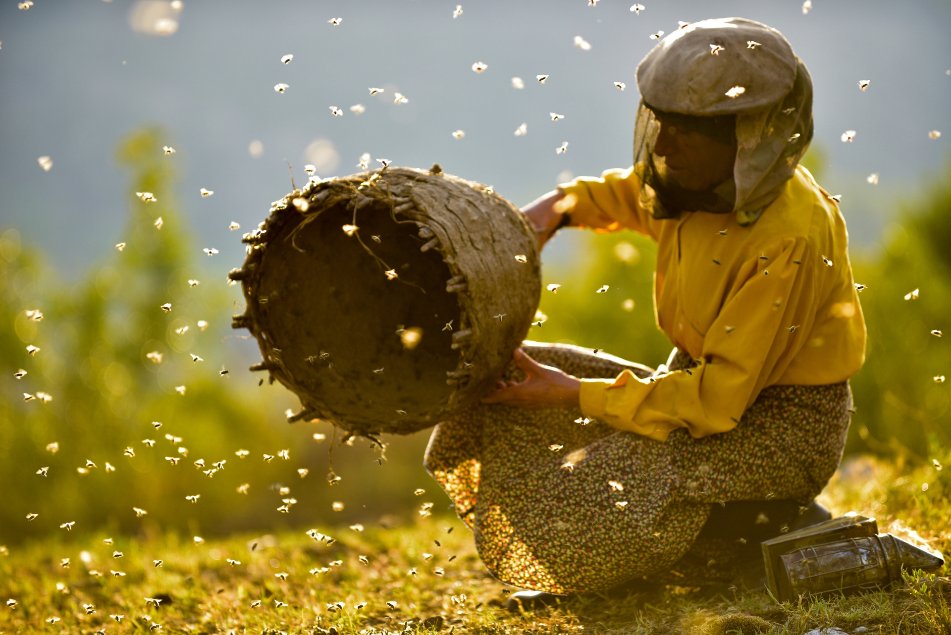Hatzide, protagonista del documentario Honeyland