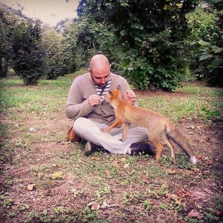 Fox man si fa annusare da una volpe