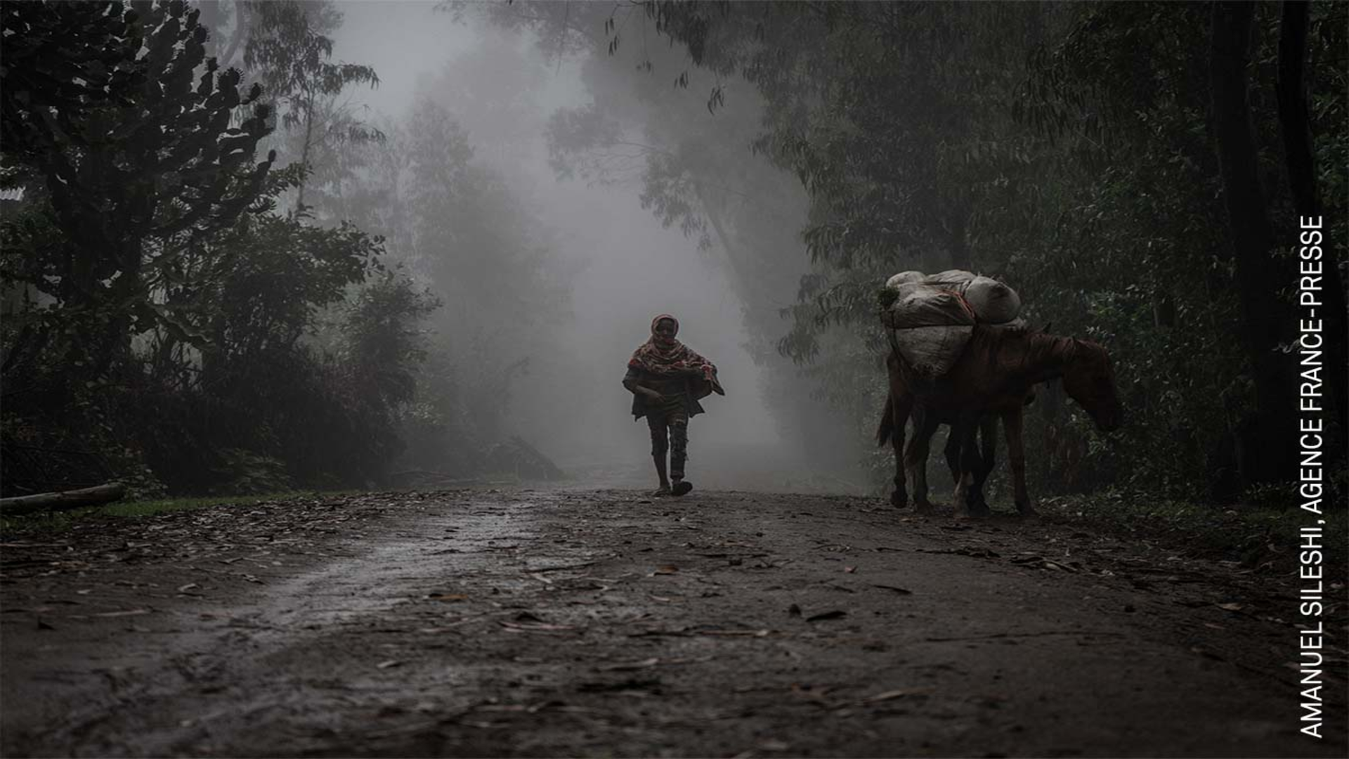 444 041_Africa_Honorable Mention_Online_Amanuel Sileshi_Agence France-Presse