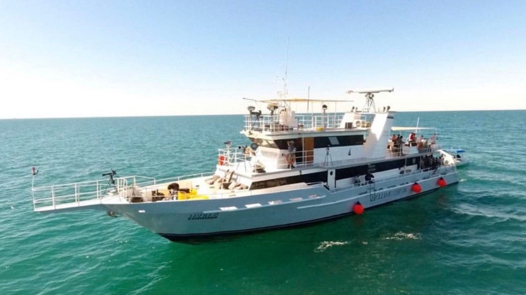 barca bruciata durante ricognizione vaquita