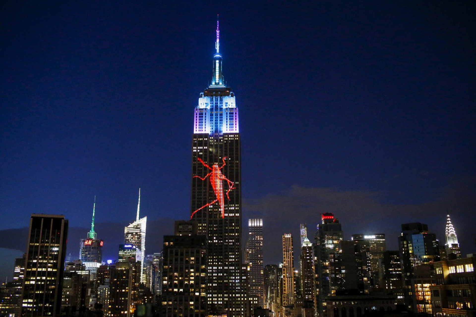 cavalletta proiettata su Empire State Building