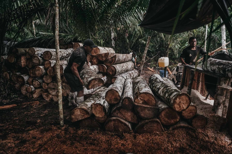 Cambiamenti climatici e deforestazione in Perù raccontati da Daniele Cagnazzo