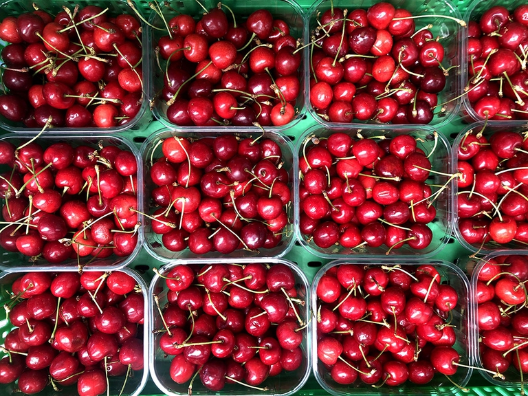 coop italia, ciliegie