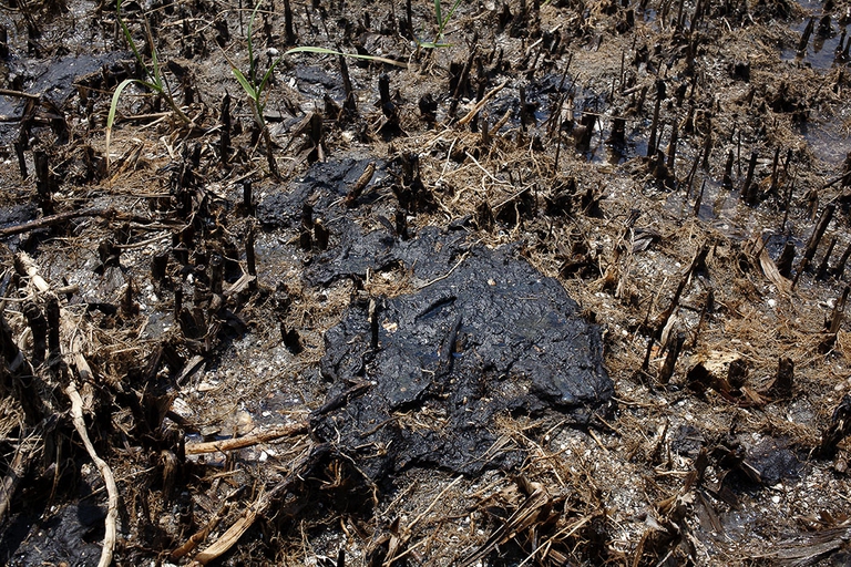 chiazze di petrolio sul suolo contenenti tracce di Corexit. ©Giada Connestari