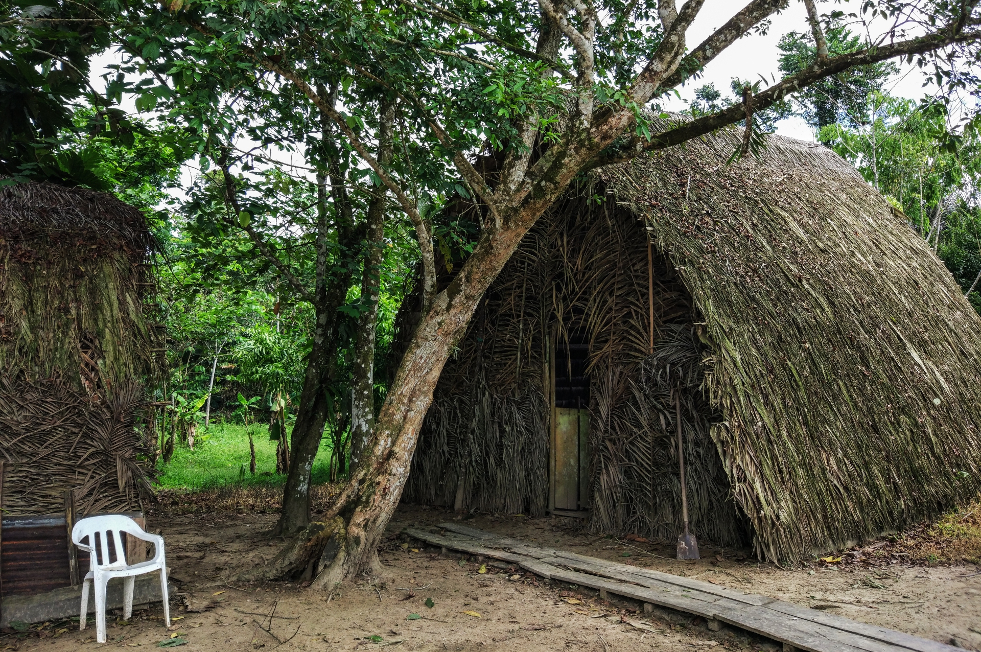 Marina Tana Human Forest Ecuador Yasuní 2017
