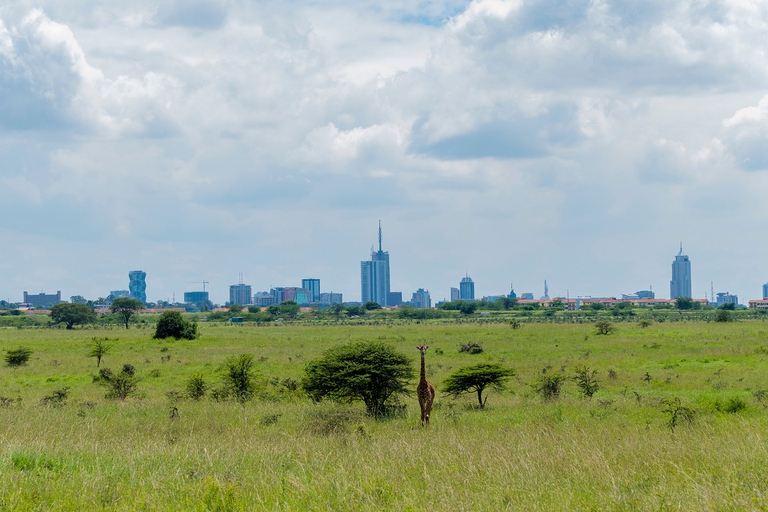 urbanisation, kenya