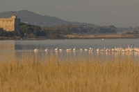 Nei parchi italiani mancano naturalisti, biologi e geologi