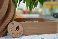 Kanèsis, la startup italiana che ha inventato la bioplastica di canapa