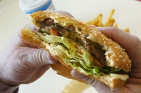 Come evitare le emissioni di CO2 di 2,3 milioni di auto? Basta sostituire funghi alla carne negli hamburger