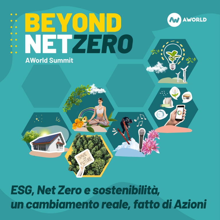 Beyond net zero 