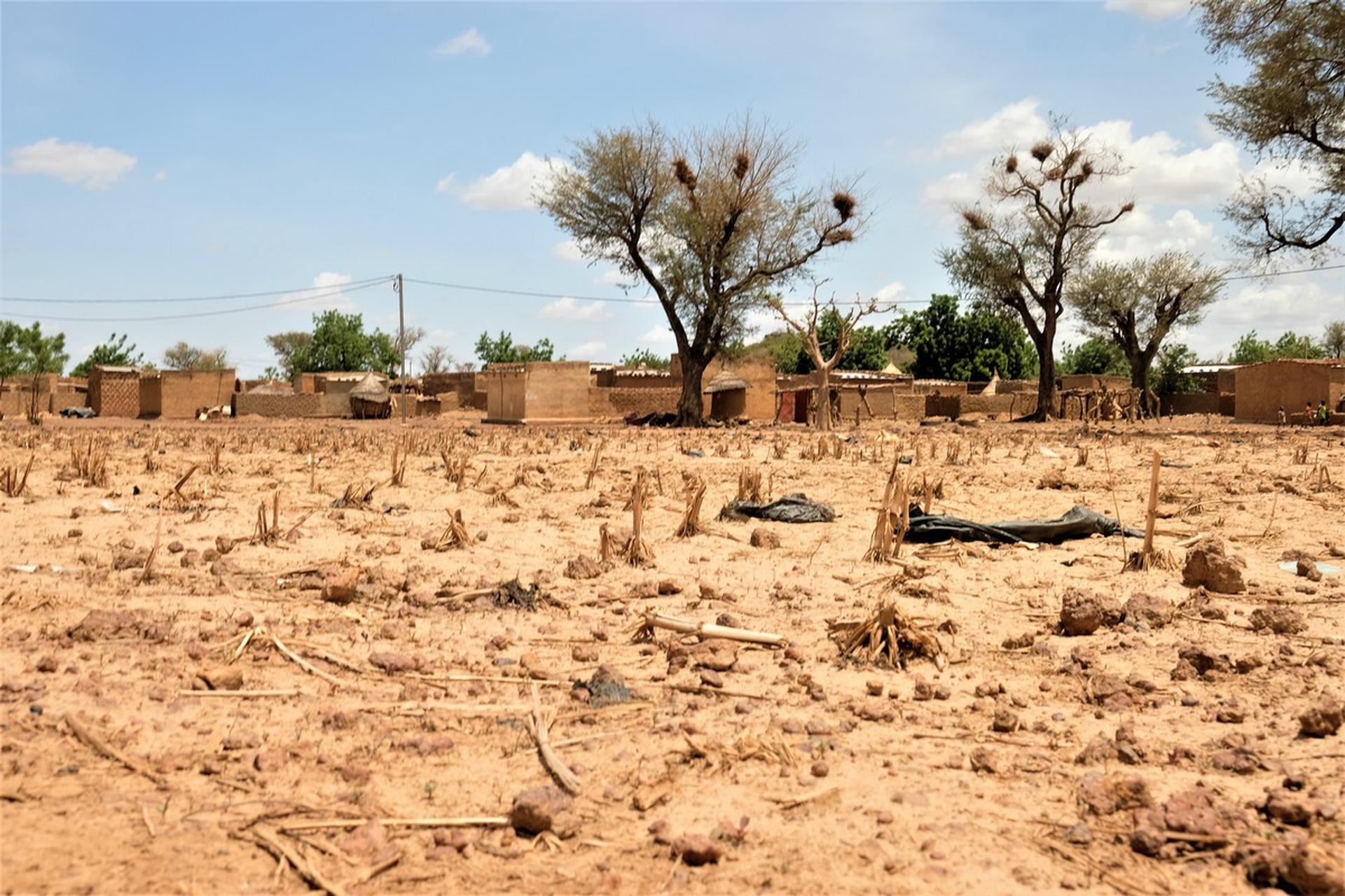 Fighting for the land in Burkina Faso
