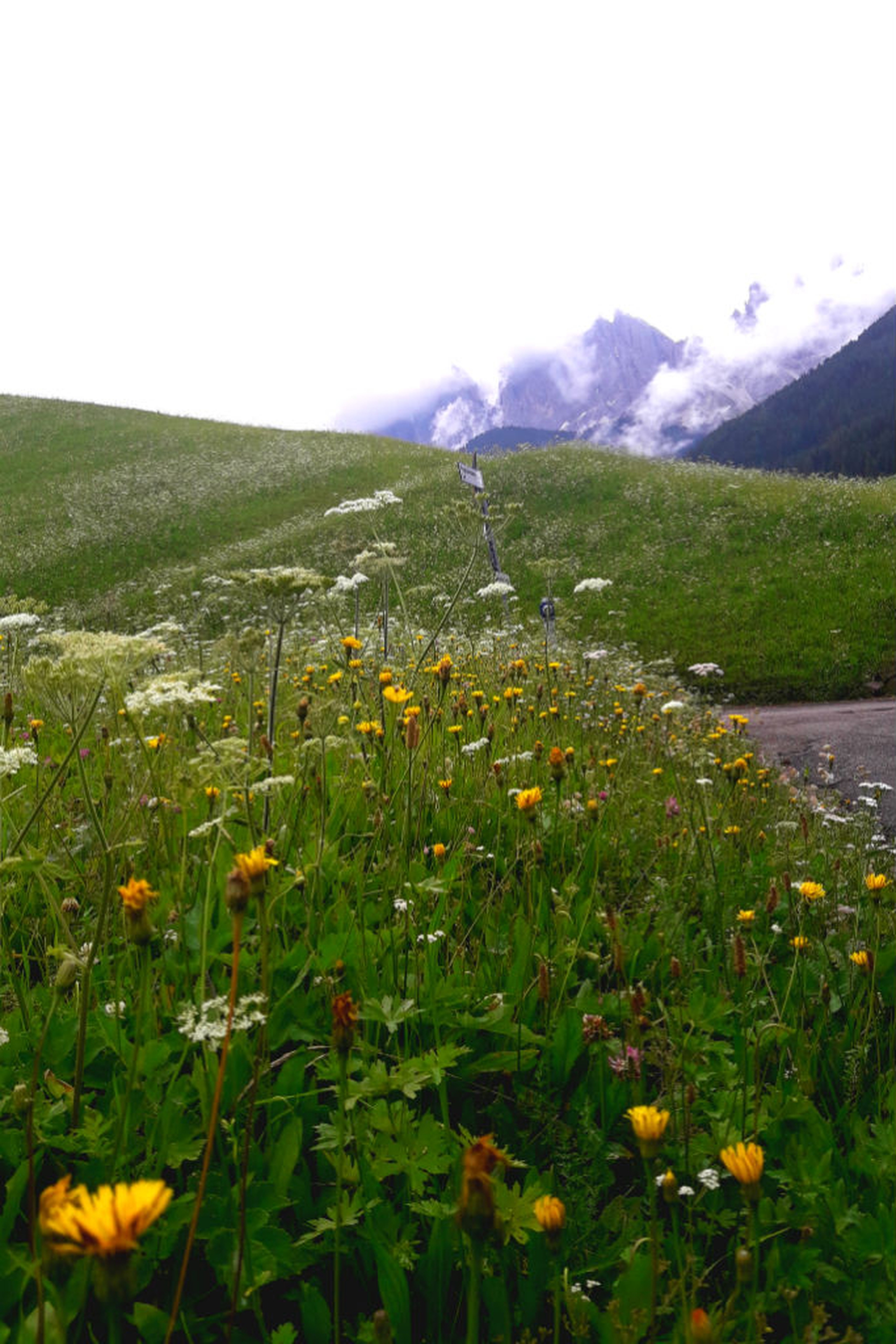 Prati montani in Val di Funes