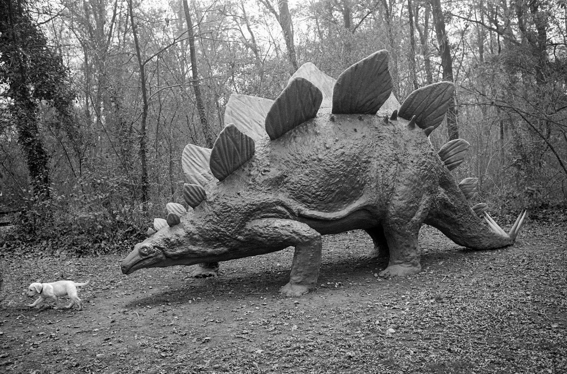 Andrea Micheli, Alessandro Cecchi Paone