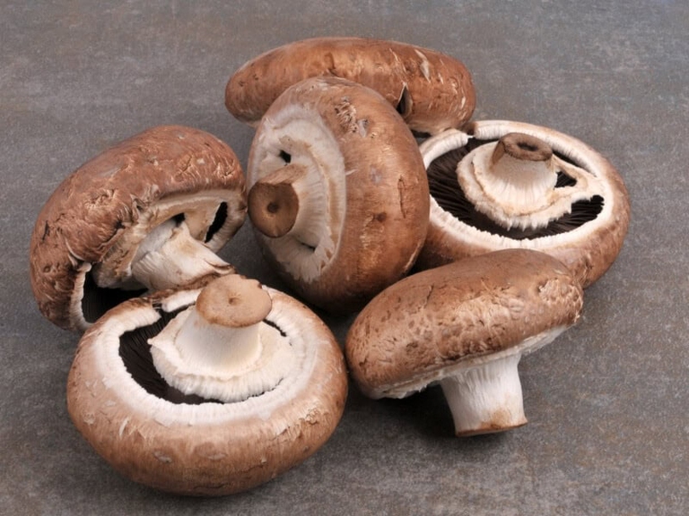 Funghi Portobello