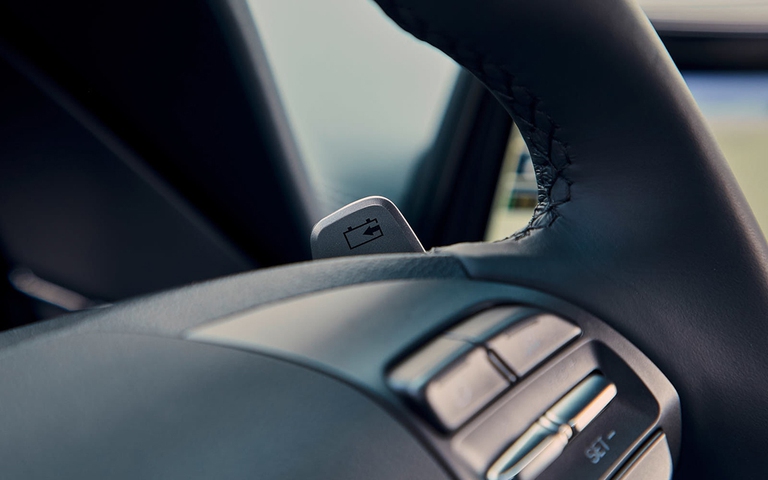 Sulla nuova Ioniq Electric interessante  l'uso innovativo di materiali naturali negli interni con ampio ricorso a plastica riciclata combinata con legno in polvere e pietra vulcanica per i rivestimenti delle porte interne.©Hyundai