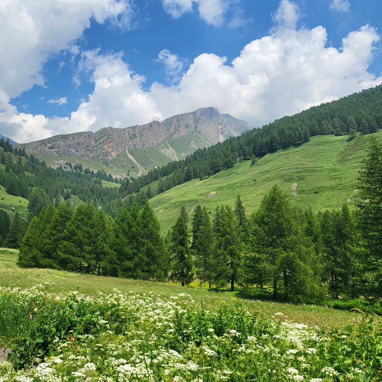 La Valle Varaita presso Chianale