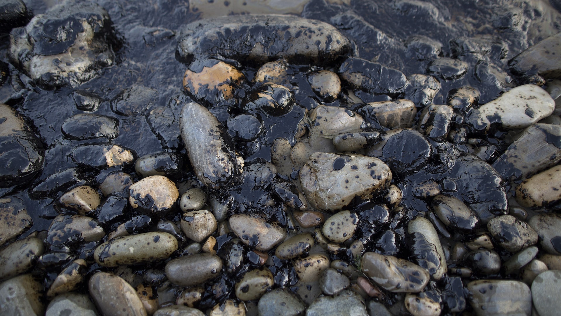 Un maxiprogetto di estrazione di petrolio minaccia le coste della Guyana