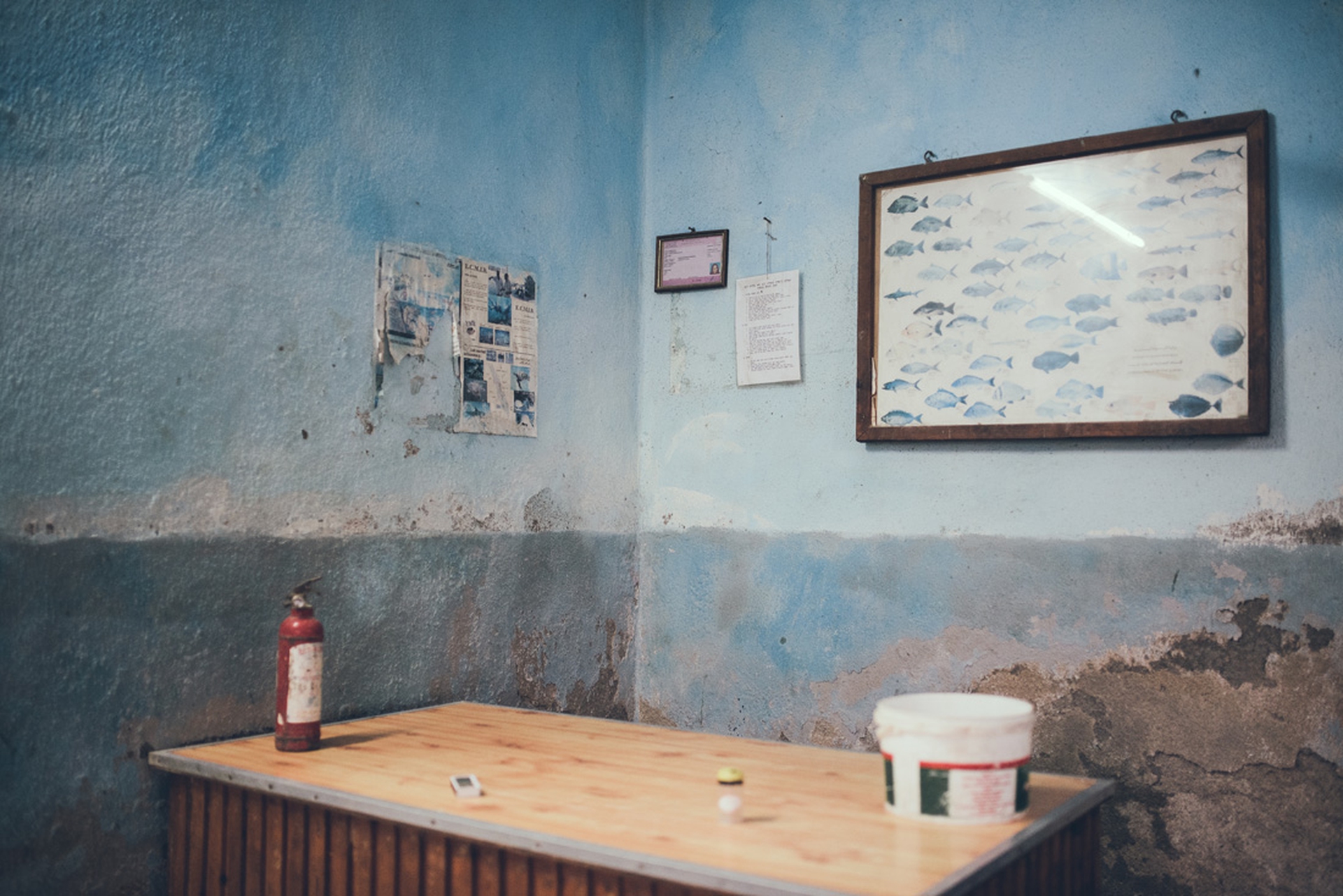 Scatti fatti durante i viaggi di Mille battute