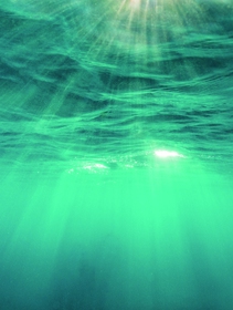 Mare Aperto si fa in cinque con il piano di sostenibilità WeSea